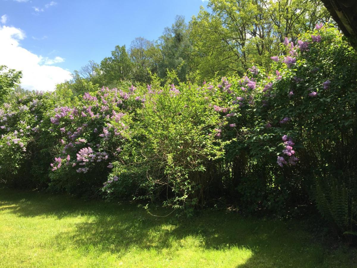 Dom Na Mazurach Villa Ruciane-Nida Buitenkant foto